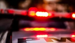 Pai e filho são levados à delegacia após denúncia de maus-tratos a cachorro