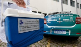 Referência no Brasil, Paraná realiza mais de 1,7 mil transplantes em 2025