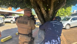 Homem embriagado fica com a cabeça presa em árvore no centro