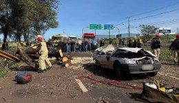 Fatalidade: árvore cai em carro e condutor morre