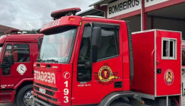 Menina de 7 anos aciona bombeiros e ajuda a salvar a vida do avô após queda