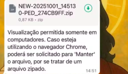 Como o WhatsApp Web virou porta de entrada para ataque hacker com foco no Brasil