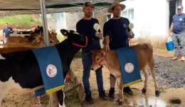 4ª Amostra da Bezerra Leiteira reúne produtores e destaca valorização do setor