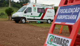 Cidasc confirma segundo foco de Newcastle no Oeste de SC; 15 granjas têm testes negativos