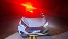 Carro sofre danos ao atropelar bovino em rodovia no Oeste