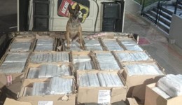 Polícia Rodoviária apreende 667 kg de maconha em caminhão na PRC-280