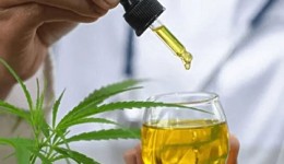 Anvisa aprova novas regras para uso de cannabis medicinal no Brasil