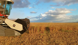 Produção de grãos do Brasil deve atingir recorde de 360,1 milhões de toneladas na safra 2025/26