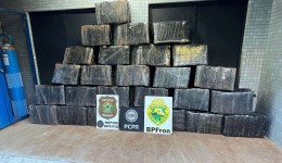 Dois homens são presos e 732 kg de maconha são apreendidos durante patrulhamento no rio Paraná