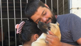 Cão desaparecido há 4 meses é reencontrado por tutores durante mutirão em SC