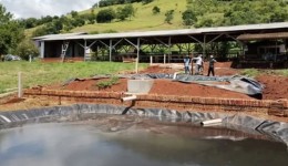 Família transforma esterco de vacas em energia e fertilizante e reduz custos no Oeste de SC