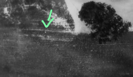 Idoso desaparecido é encontrado com ajuda de drone e cão farejador no interior de Itapiranga