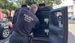Homem condenado por matar a ex-cunhada e ferir a ex-esposa é preso pela Polícia