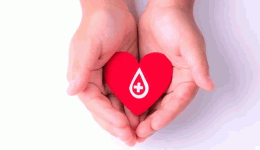 Dia Nacional do Doador de Sangue: HEMOSC celebra a data reforçando a urgência da doação regular em SC