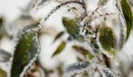 Queda brusca nas temperaturas e frio intenso devem marcar a próxima semana em SC