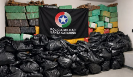 PMSC apreende mais de quatro toneladas de maconha e prende homem