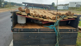 PRF apreende 500 litros de agrotóxicos contrabandeados escondidos sob madeira