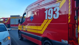 Homem morre após ataque de abelhas