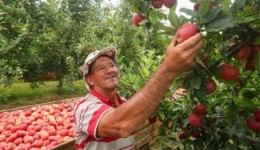 SC investirá mais de R$ 7 milhões em pesquisas agropecuárias; entenda