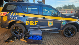 PRF flagra jovem grávida com quase 10 quilos de skunk em Cascavel