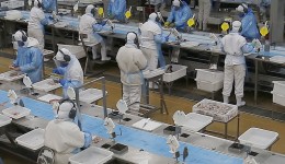 Paraná começa a semana com 25,8 mil vagas de emprego