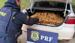 PRF apreende mais de 350 kg de maconha em dois casos no Oeste de SC