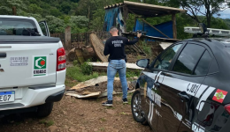 Fiscalização identifica suspeitas de maus-tratos a animais e crimes ambientais em propriedade rural