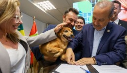 SC quer castrar 90 mil cães e gatos até 2026 com programa de R$ 18 milhões