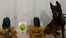 PMPR apreende mais de 730 quilos de drogas e 92 celulares em ações com cães policiais