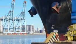 Exportações de Santa Catarina crescem 4,4% em 2025 e atingem maior valor da história