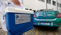 Paraná teve a menor taxa de recusa familiar para doação de órgãos do Brasil em 2024