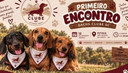 Primeiro encontro de Dachshunds reúne tutores e cães