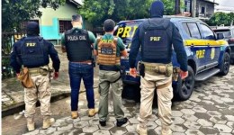 MPSC denuncia grupo que lucrou R$ 16 milhões em falsas vendas de carros