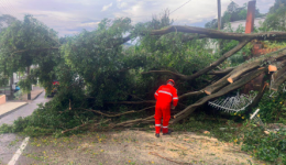 Temporal provoca destelhamentos e queda de árvores em Concórdia