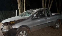 Condutor fica ferido após tentar desviar de cachorro e capotar camionete na BR-280