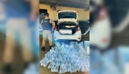 Homem é preso com 96 peixes contrabandeados avaliados em R$ 100 mil