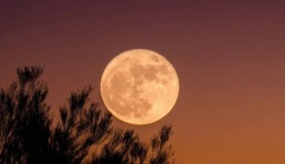 "Lua cheia do veado" poderá ser vista nesta quinta (10) em todo o Brasil; saiba como