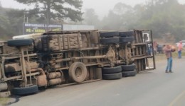 Caminhão carregado de carne tomba na BR-470 e parte da mercadoria é saqueada em SC