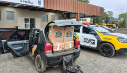 Motorista foge da PM, bate veículo e é preso com 400 pacotes de cigarros contrabandeados