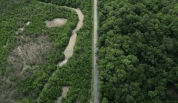 Desmatamento fez Brasil perder, em 40 anos, área natural maior que extensão da Bolívia, revela MapBiomas