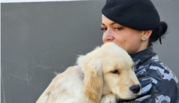 Polícia Militar inicia terapia com cães para crianças com Transtorno do Espectro Autista