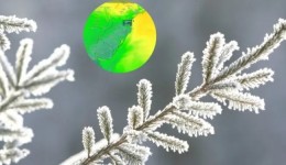 Passagem de ciclone no Sul traz frio atípico e temperaturas despencam para -2°C com chance de geada em SC