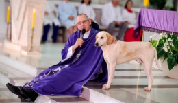 “Cãoroinha?”: cachorro vira presença nas missas e encanta fiéis no Paraná