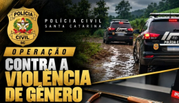 Homem é preso após Polícia Civil apreender espingarda e munições em investigação de violência doméstica em SC