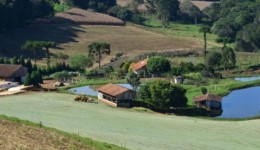 Novo programa do governo de Santa Catarina prevê R$ 1 bilhão em crédito para cooperativas