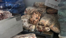 Operação fecha frigorífico e lacra depósito após suspeita de fraude alimentar no Oeste de SC