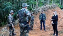 Mais de 280 hectares recebem multas de R$ 2,7 milhões por desmatamento ilegal da Mata Atlântica