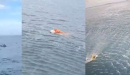 Pescador resgatado agarrado a porta de geladeira passou 17 horas à deriva em SC