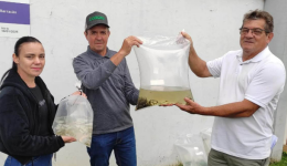 Município entrega mais de 14 mil alevinos a produtores rurais