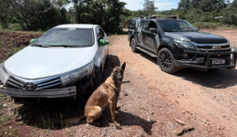Toyota Corolla avaliado em R$ 90 mil é recuperado após alerta de furto